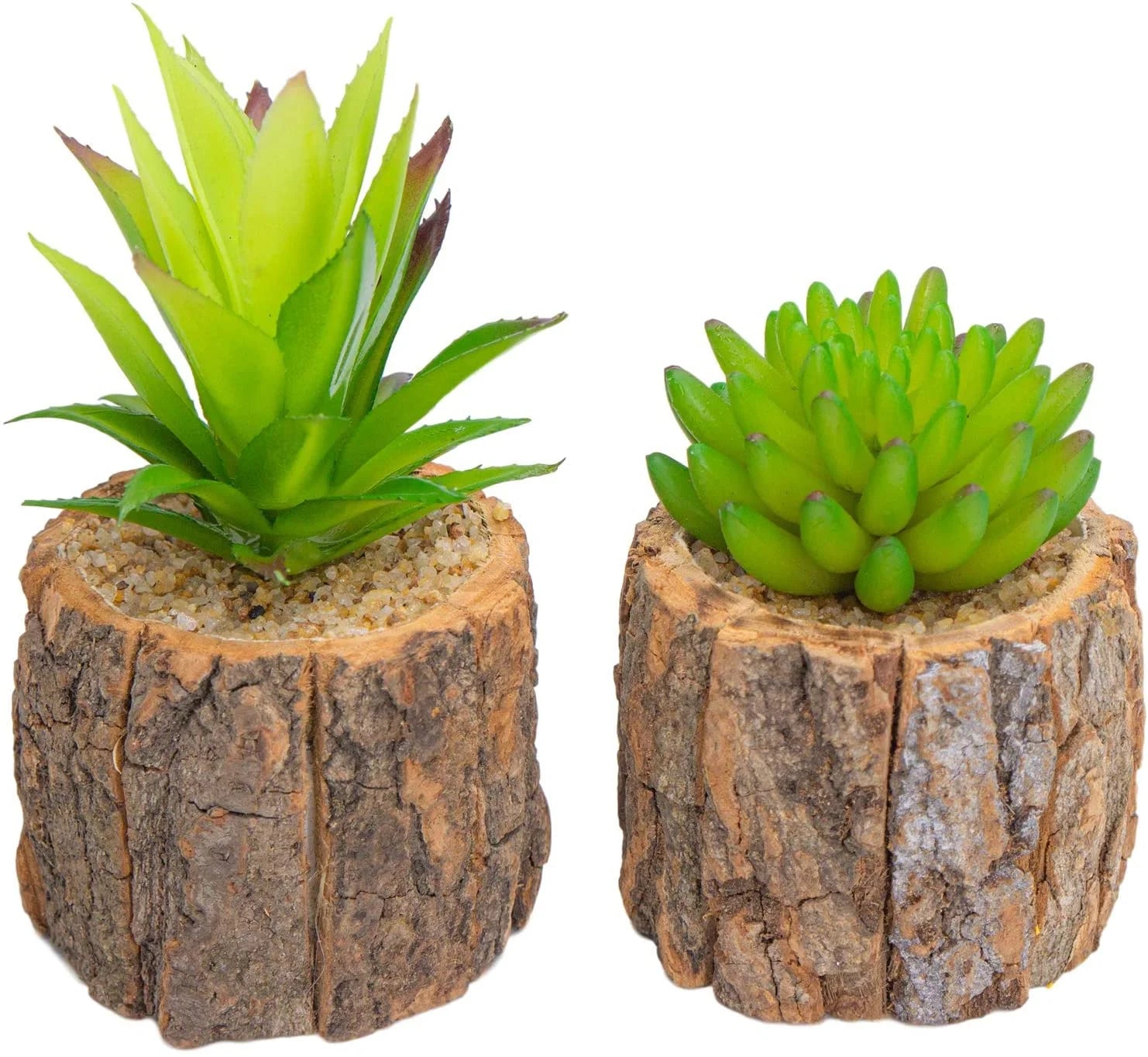2-Pack Faux Cactus Plants in Pots – Artificial Succulents for Home & Office Décor
