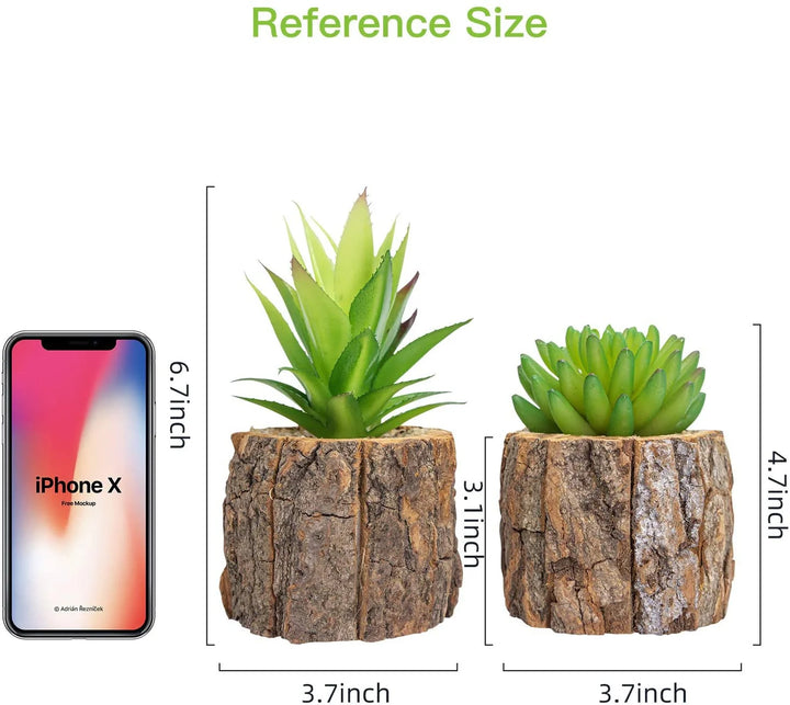 2-Pack Faux Cactus Plants in Pots – Artificial Succulents for Home & Office Décor