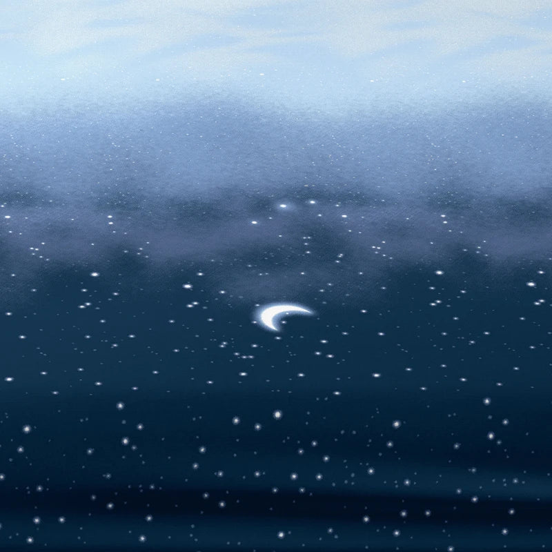 Starry Sky Printed Matte Fitted Sheet – Modern Bedroom Bedding (No Pillowcases)